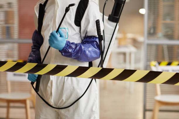 Professional Sewage Cleanup technician working in Camano Island, WA